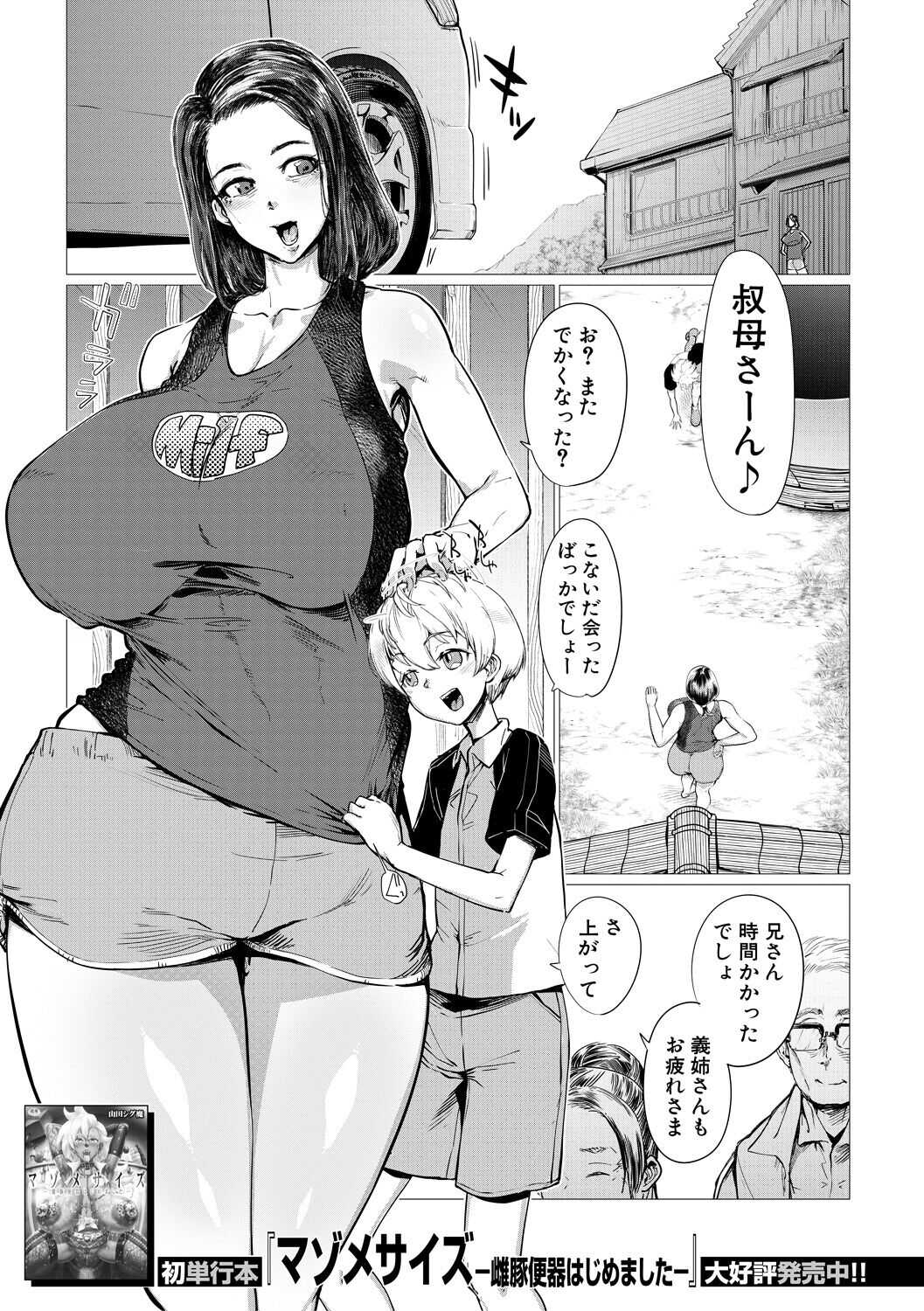 Countryside Toy page 1 full