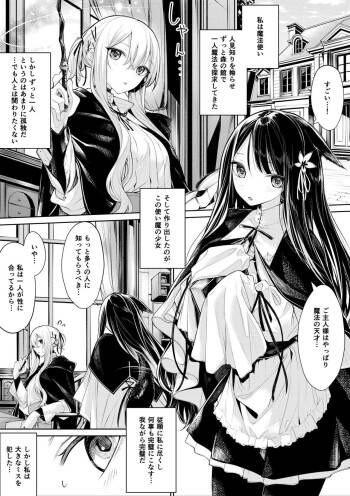 Tsukaima Maid-san ni Katenai Hitomishiri na Mahoutsukai-san cover