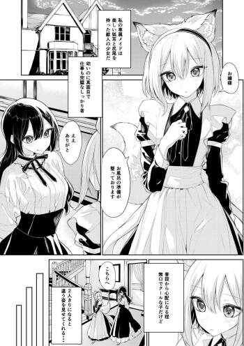 Kitsunemimi Maid-san to Ojou-sama no Yoru cover