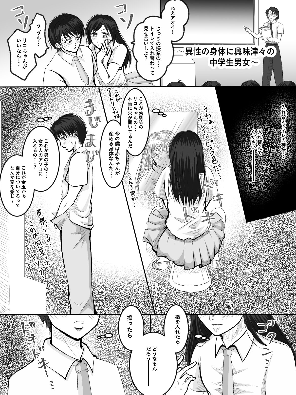 Replacement Toilet Mystery page 3 full