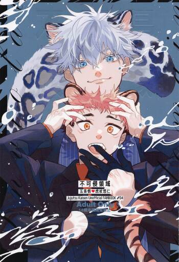 Fukashin Ryouiki cover