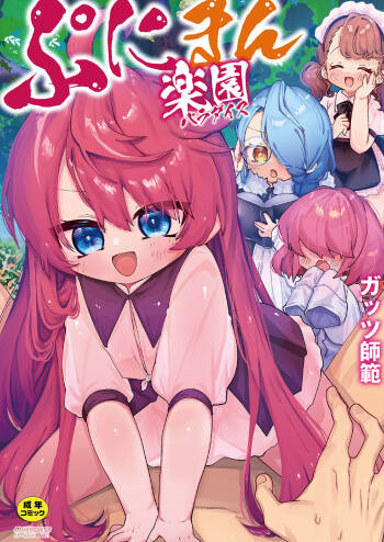 Puniman Paradise cover