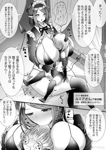 メイド淫魔とショタ淫魔 cover