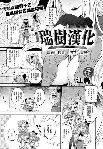 王国の礎 cover