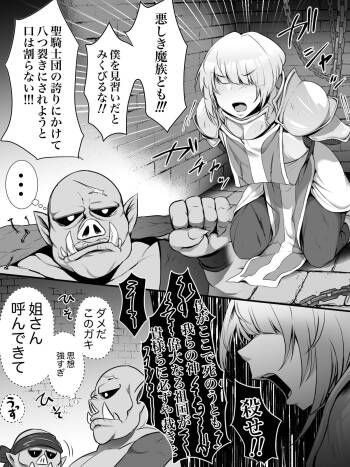 サキュバスVS聖騎士見習いくん cover