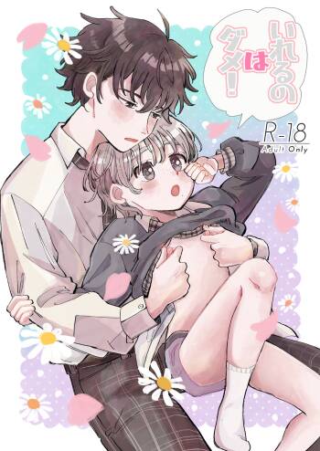 Ireru no wa dame! cover