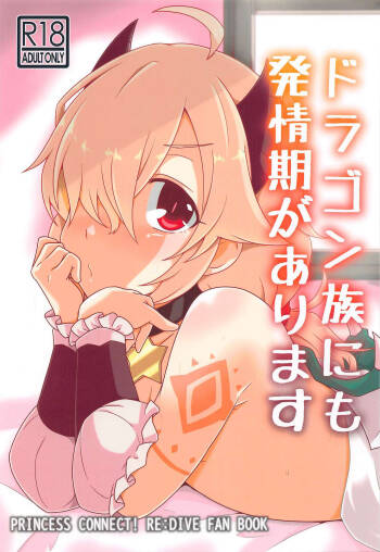 Dragon-zoku ni mo Hatsujouki ga Arimasu cover