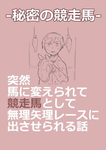 有秘密的竞赛马 cover