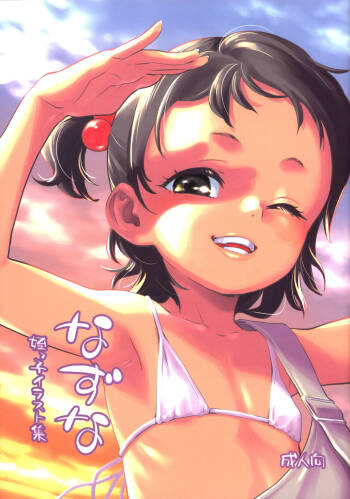 Nazuna Meikko Illust-shuu cover
