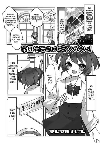 Gakuen Seikatsu ni wa Himitsu ga Ooi! cover
