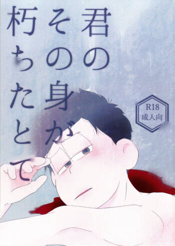 Kimi no Sono Mi ga Kuchita tote cover