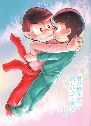 Kimigasukida yo hoshi itte itte cover
