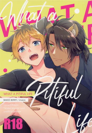 WHAT A PITIFUL LIFE cover