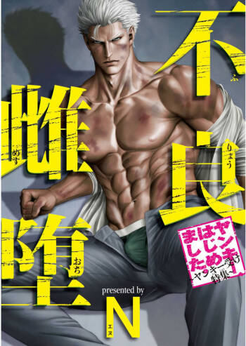 Furyou Mesu Ochi cover