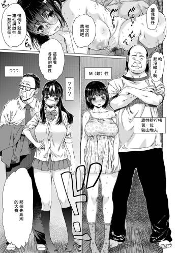 Mesu Swap cover