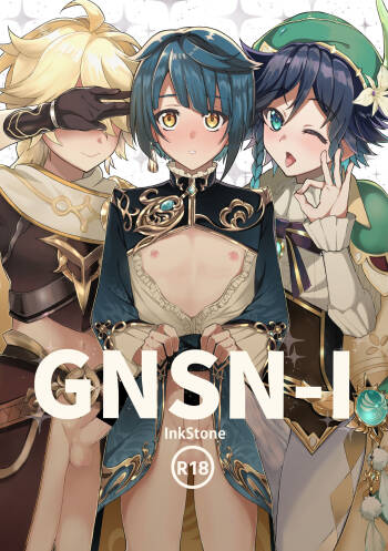 GNSN-I cover