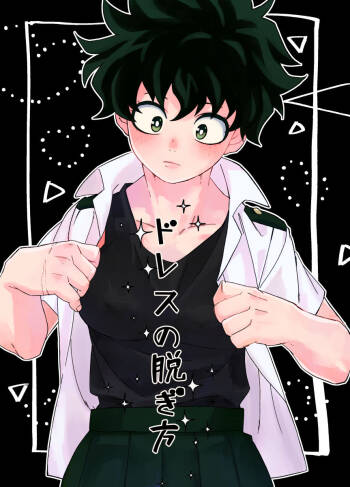 Todoroki Izuru ♀② cover