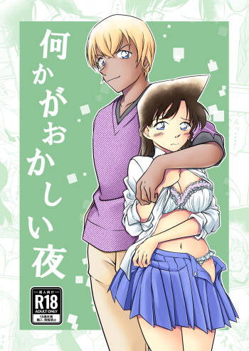 【Detective Conan】Something's wrong, night sample. cover