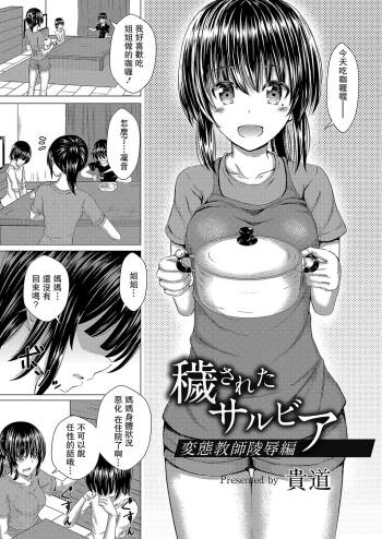 穢されたサルビア~変態教師陵辱編 cover