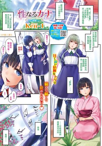 Sei naru Cana The secrect garden Kouhen | 性的迦拿 The secrect garden 后篇 cover