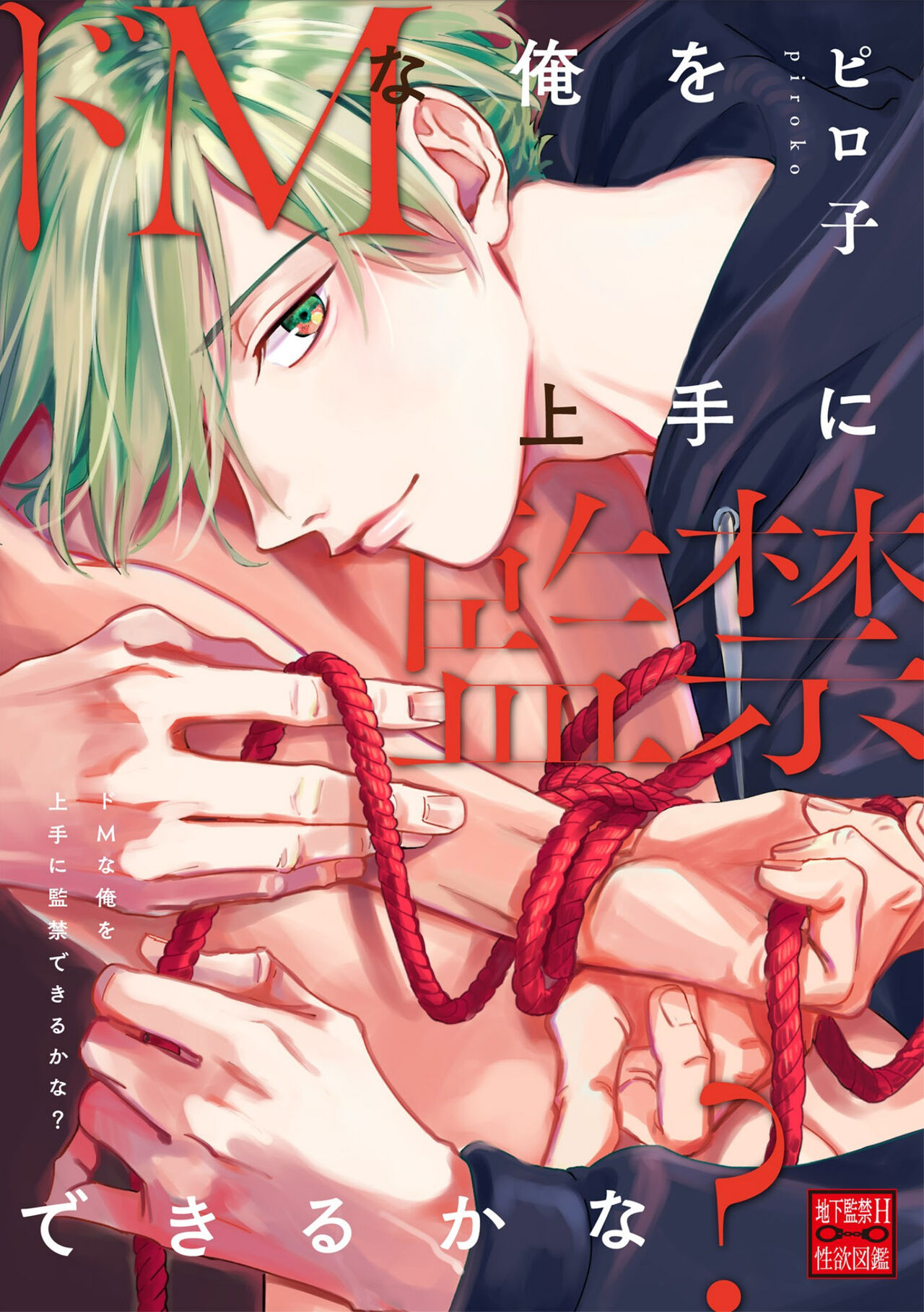 Chika Kankin H Seiyoku Zukan | 地下监禁H性欲图鉴 page 4 full