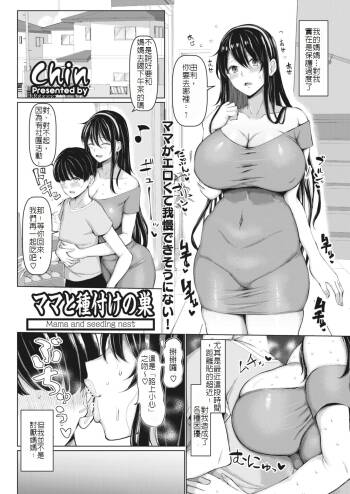 ママと種付けの巣 cover