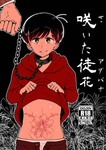 Saita adabana cover
