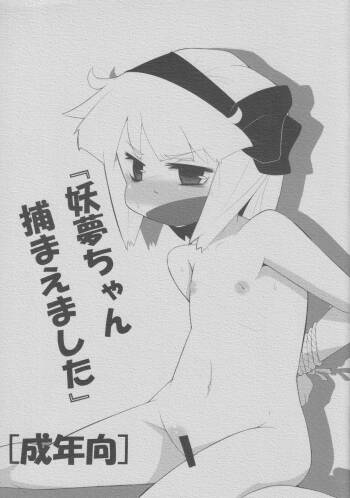 Youmu-chan Tsukamaemashita cover