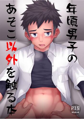 Toshigoro Danshi no asoko igai wo Sawaru hon cover