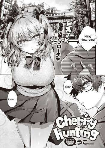 Cherry Hunting cover