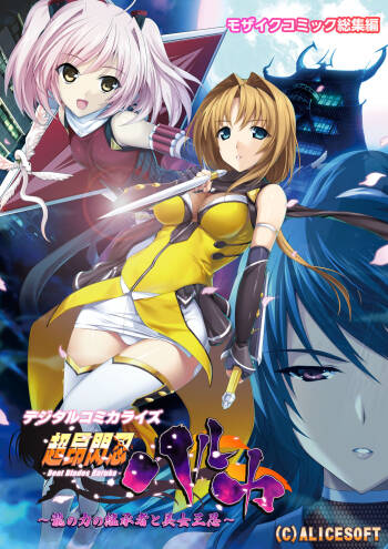 超昂閃忍ハルカ デジカルコミカライズ ～龍の力の継承者と美女三忍～ モザイクコミック総集編 cover