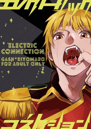 Electric・Connection cover