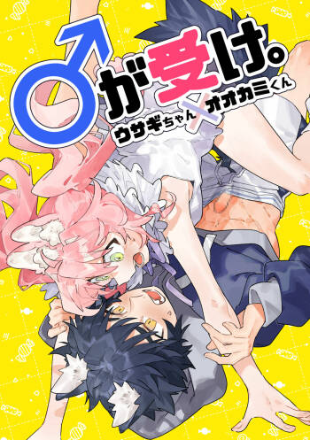 ♂ ga uke. Usagi-chan × ōkami-kun｜♂吃掉小灰狼。小兔子x狼同学 cover