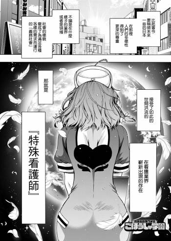 Tokushu Kango Senmon Gakkou Gohoushi Gakuen Ch. 2 cover