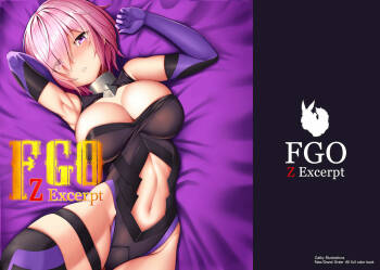 FGO Z Excerpt cover