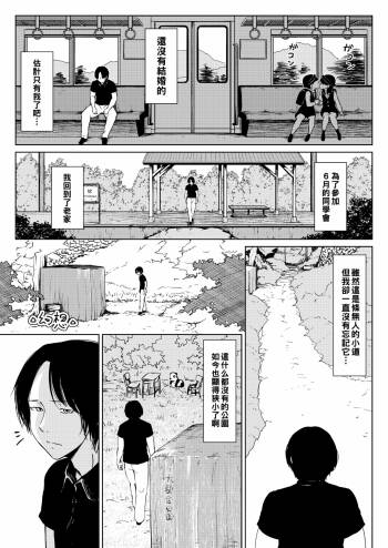 幻想+迷走（Chinese） cover