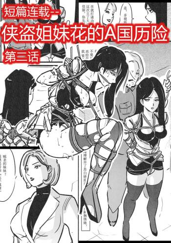 侠盗姐妹花的A国历险2 cover