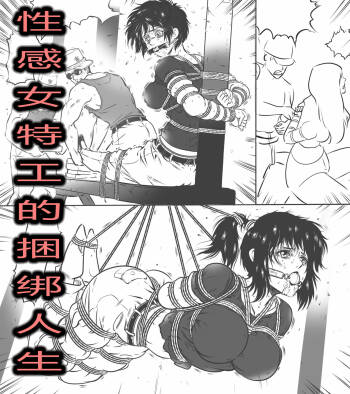 性感特工的捆绑人生2 cover