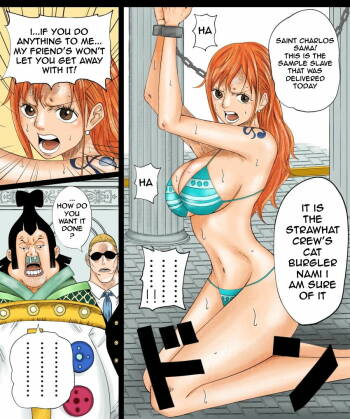 Azlight One Piece Nami Doujin ImageSet Translated cover