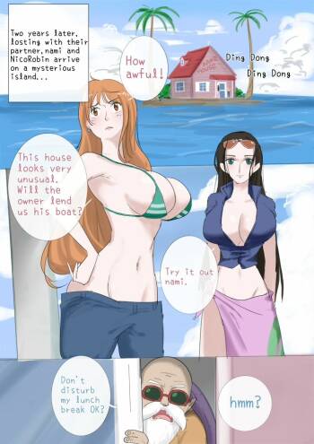 The Sexual Life Of The Turtle Hermit cover