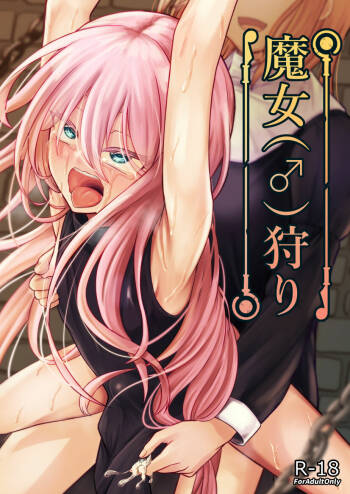 Majo  kari cover