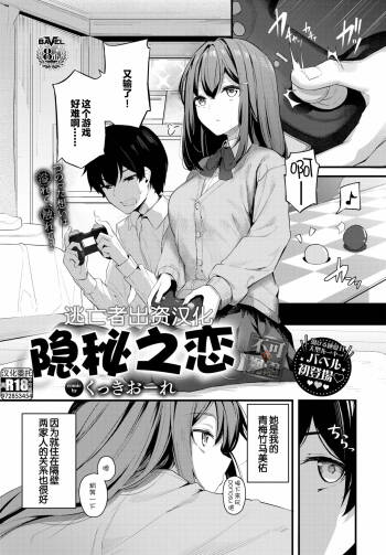 密やかな恋 cover