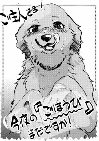 Goshujin-sama! Konya no 