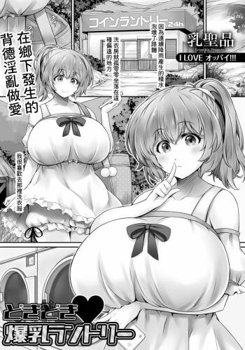 どきどき♥爆乳ランドリー cover