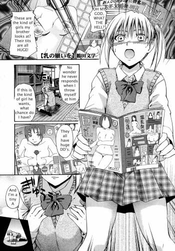 Sister's Big Boob Wish cover
