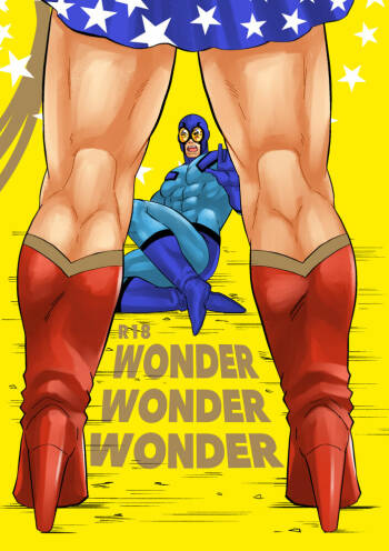 WONDER WONDER WONDER cover