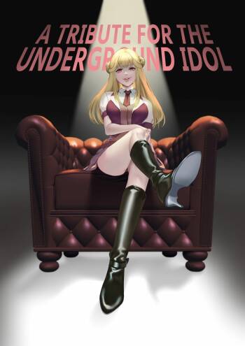 Mitsugase Chika Idol   |  A TRIBUTE FOR THE UNDERGROUND IDOL cover