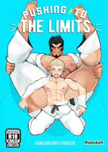 Pushing to the limits cover