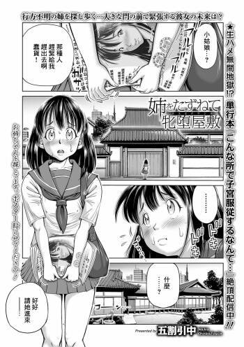 姉をたずねて牝墜屋敷 cover