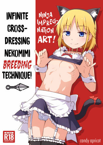Ninpou! Josou Nekomimi Maid Mugen Tanetsuke no Jutsu!! | Ninja Impregnation Art: Infinite Crossdressing Nekomimi Breeding Technique! cover
